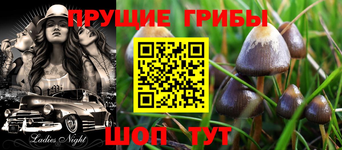 Сорочинск  Псилоцибиновые грибы Psilocybine cubensis  продажа наркотиков  Вход с VPN 