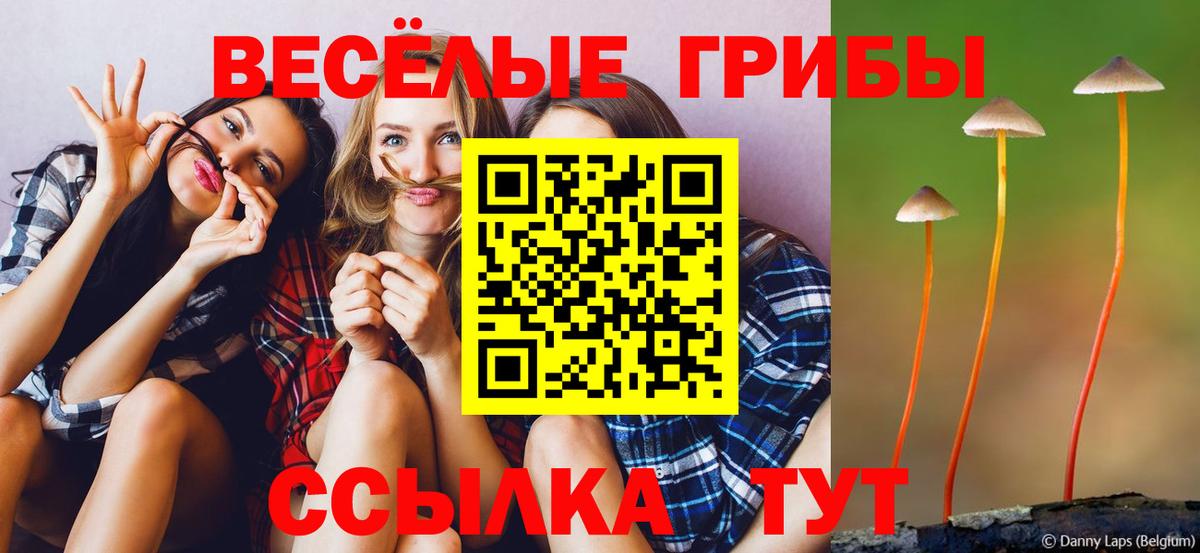 Бутират Сорочинск